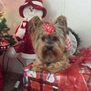 Meet your Posher, Theresa